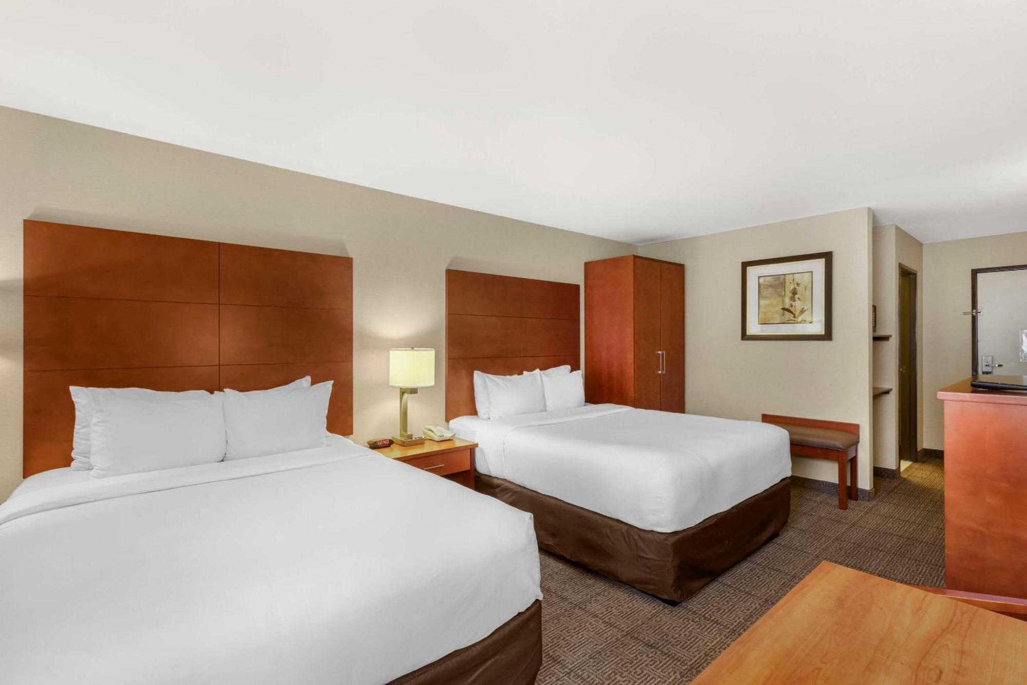 Comfort Inn & Suites Near Fallon Naval Air Station Bagian luar foto